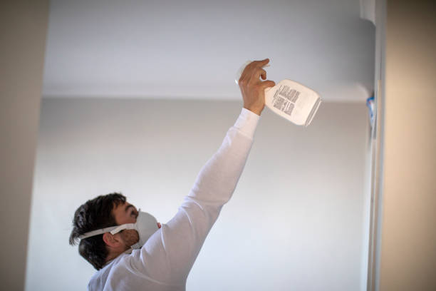 Reliable Lincoln, AR Mold Removal Solutions