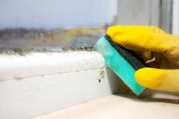 Best Residential Mold Removal  in Lincoln, AR